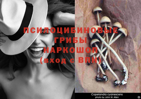 скорость Баксан