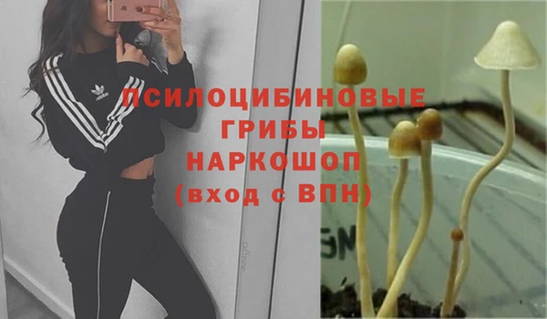 СК Балахна