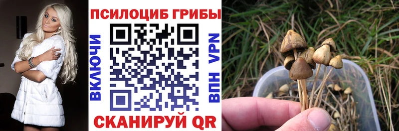Псилоцибиновые грибы прущие грибы  где найти   Нижняя Тура 